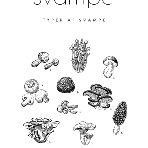 Svampe - Mad guide plakat