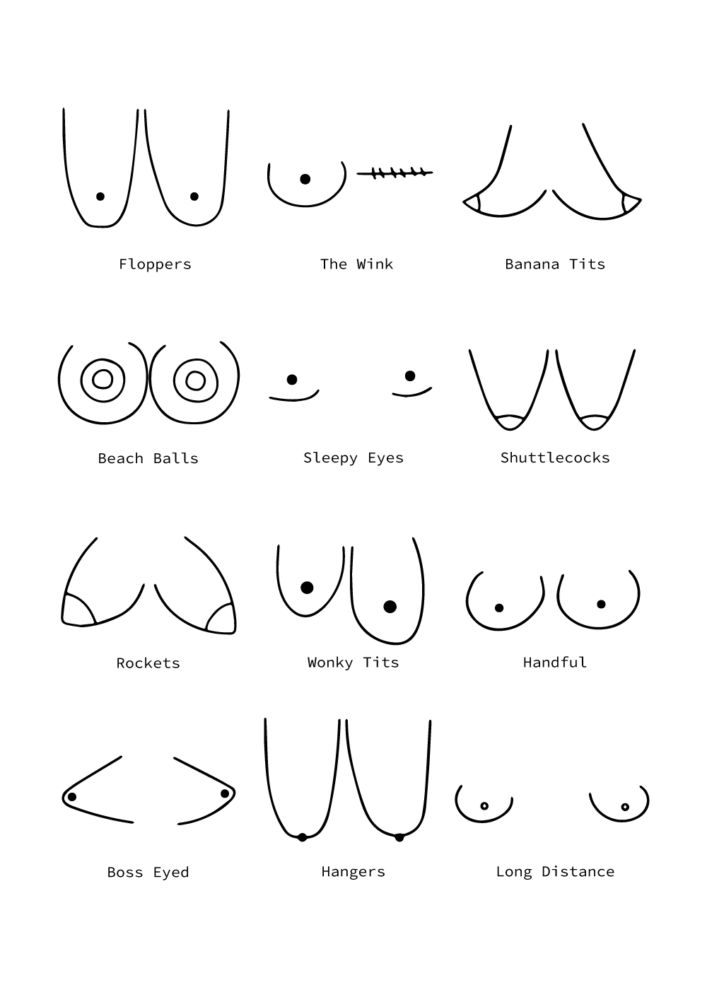 Types of Boobies plakat – E-shops